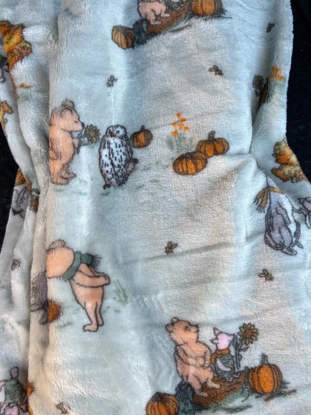 Classic Winnie the Pooh throw blanket size 50x70